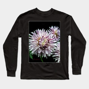 Dinnerplate Dahlia - Avignon Long Sleeve T-Shirt